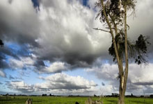 欧洲豪门大对决,曼联对阵拜仁慕尼黑