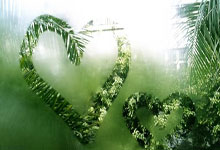 欧洲豪门大对决，曼联对阵拜仁慕尼黑