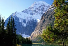 欧洲豪门大对决，曼联对阵拜仁慕尼黑