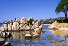 法国联赛强强对决，里昂对阵摩纳哥