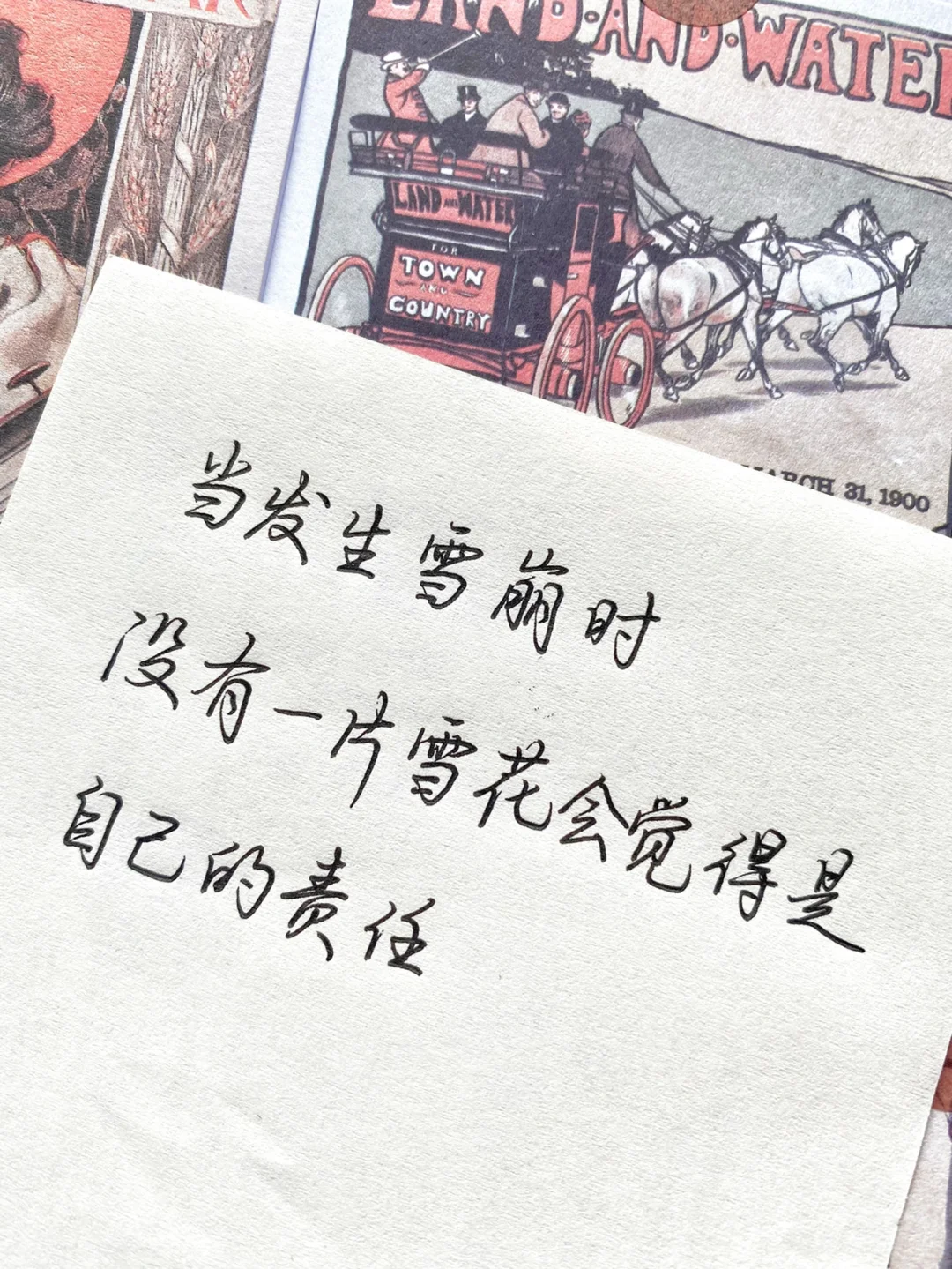 wei有没有可能真的是无辜的(wei有没有可能真的是无辜的拼音)